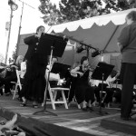 The Festival
