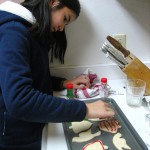 Cookies for Santa