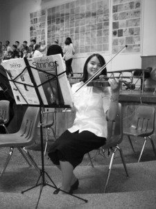Viola Maestra