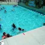 Barrier Reef Wave Pool