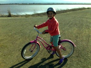 20" Electra Beach Cruiser