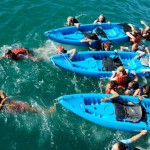Kayaks At Cat Harbor