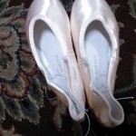 Gaynor Minden Pointe Shoes