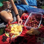 Cheese, Crackers and Grapes