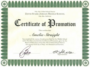 Certificate Of Promotion