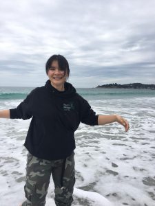 Carmel Beach