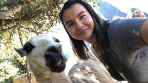 Llama Selfie