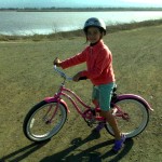 20" Electra Beach Cruiser