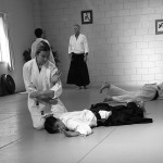 Aikido Pin