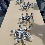 Synched Spider Bots