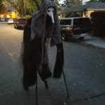 Dementor Hag