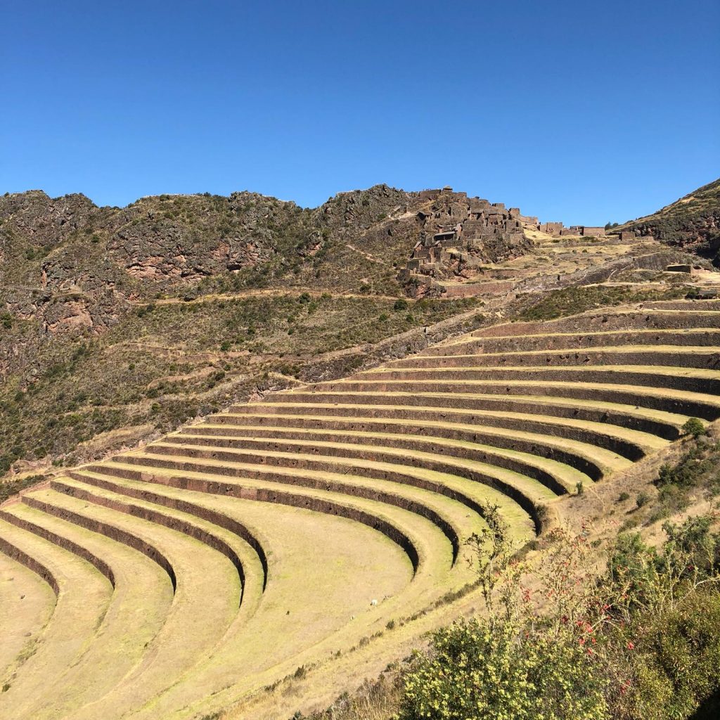 Terraced Farming