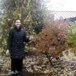 Amelia's Tree