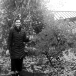 Amelia's Tree