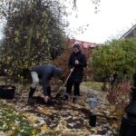 Tree Planting in the Rain