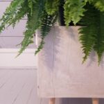 Planter Details